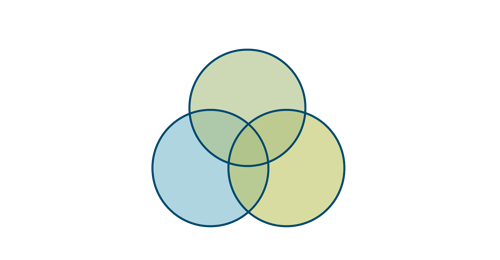 A venn diagram of 3 intersecting circles