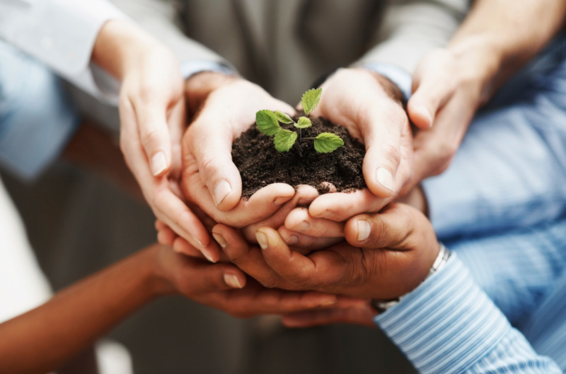 Multiple pairs of hands holding dirt with a plant. 