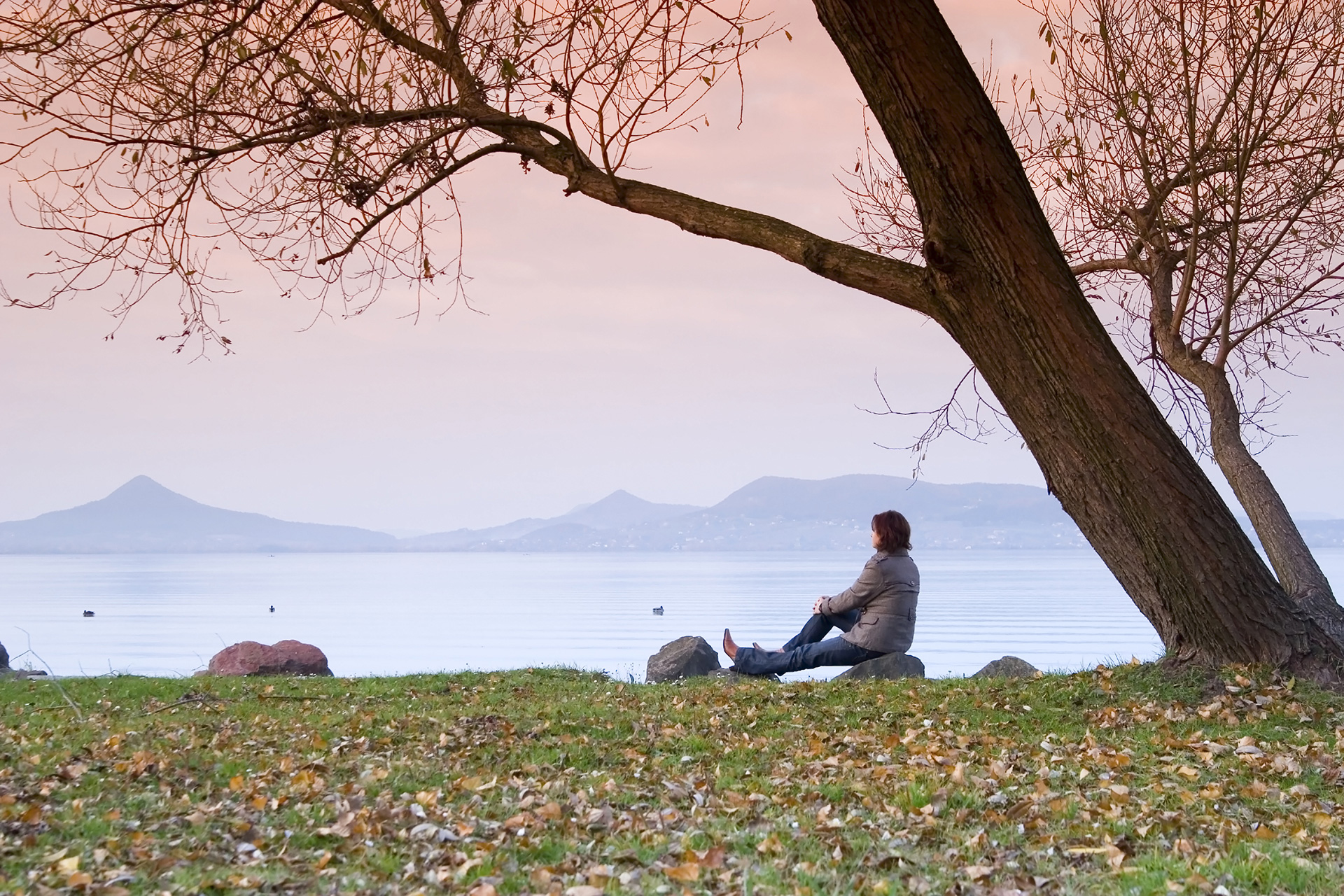 A woman sitting on a rock under a tree without leaves overlooking a lake.