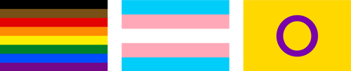 8-stripe ‘More Colour, More Pride’ Flag, Transgender Pride Flag and Intersex Pride Fla