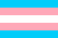 Transgender flag